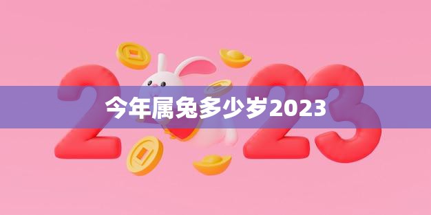 今年属兔多少岁2023(届时兔年将至你的年龄又增加了几岁)
