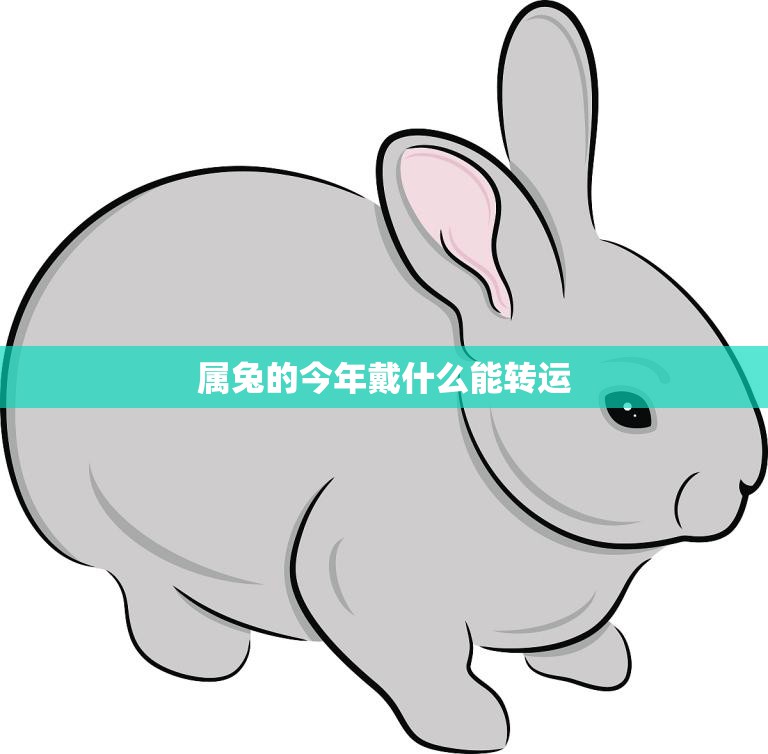 属兔的今年戴什么能转运(2023年最佳推荐)