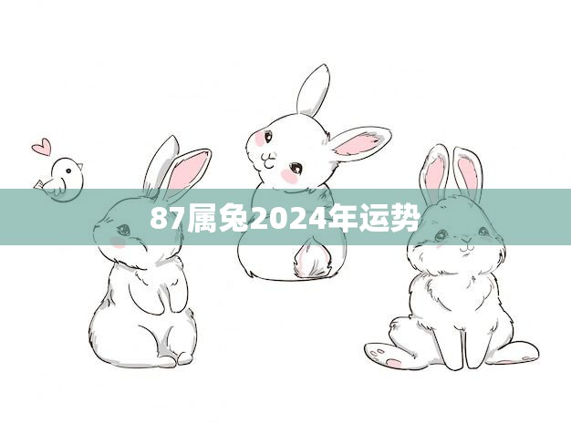 87属兔2024年运势(兔子运势大好财运亨通事业顺利)