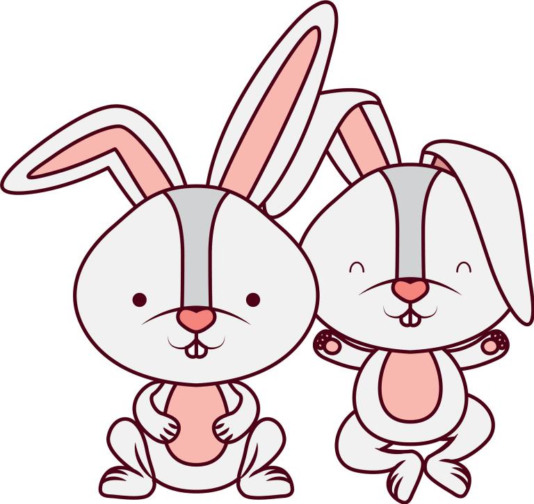 今年兔年出生的女孩命运(兔年女孩的未来如何)