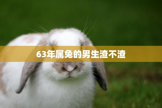 63年属兔的男生渣不渣(如何看待)
