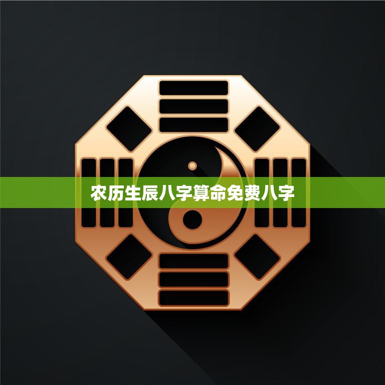 农历生辰八字算命免费八字(如何解读)
