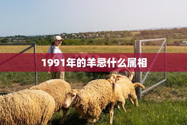 1991年的羊忌什么属相(解密你是否知道自己的命运)