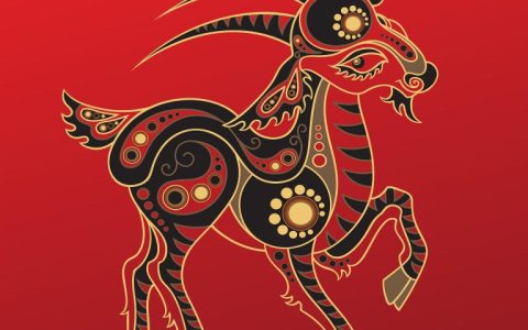 91年属羊三月的是什么命(解析命运如何)