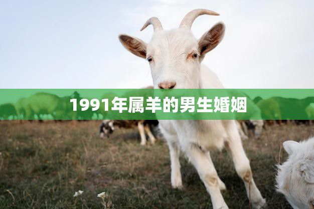 1991年属羊的男生婚姻(如何避免婚姻危机)