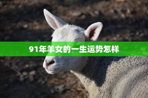 91年羊女的一生运势怎样(星象预测与命运解析)