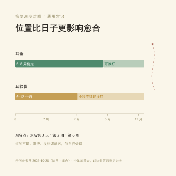 耳垂与耳骨愈合周期
