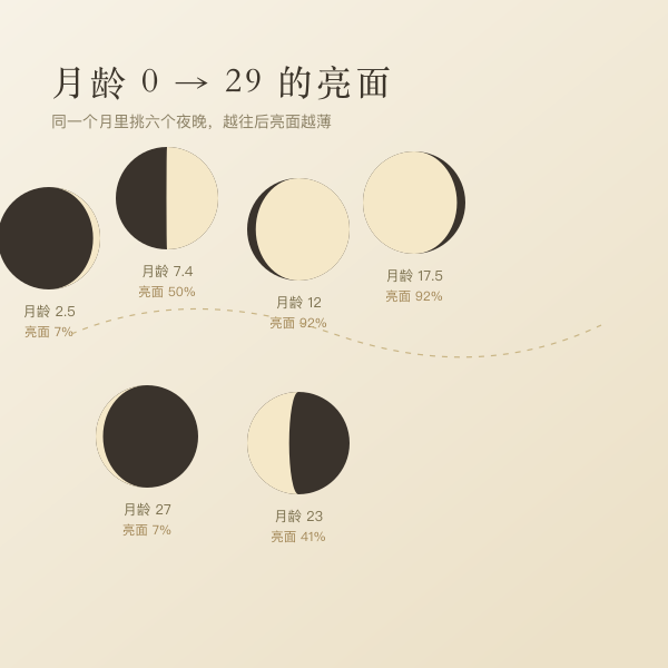 月龄从零到二十九的亮面厚度示意