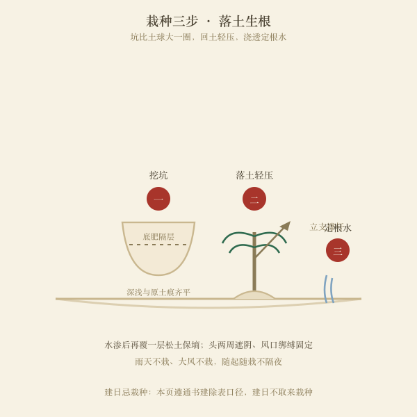 栽种三步图